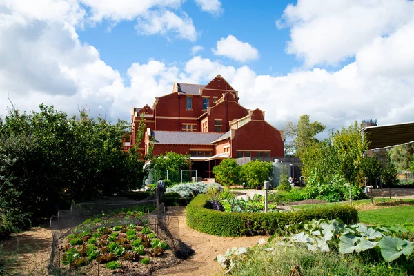 アデレード植物園のグッドマン ビルディング オーストラリア — ストック写真