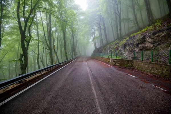 Foggy Forest Dans Parc National Maiella Italie — Photo
