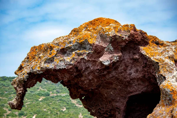 Elefante Natural Roca Cerdeña Italia — Foto de Stock