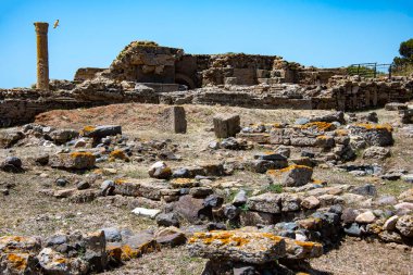 Nora Arkeoloji Parkı - Sardunya - İtalya