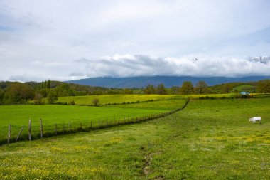 Lazio 'daki Tarım Alanları - İtalya