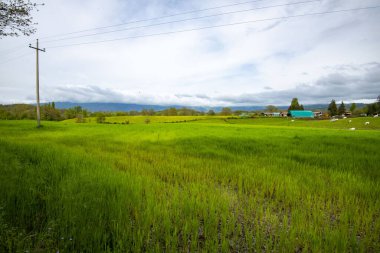 Lazio 'daki Tarım Alanları - İtalya