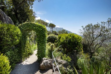 Isola d 'Ischia' daki La Mortella Bahçesi - İtalya