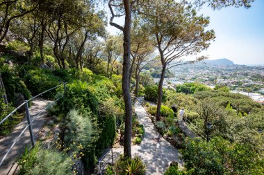 Isola d 'Ischia' daki La Mortella Bahçesi - İtalya
