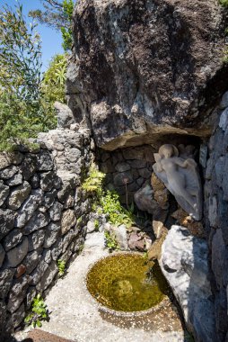 Isola d 'Ischia' daki La Mortella Bahçesi - İtalya