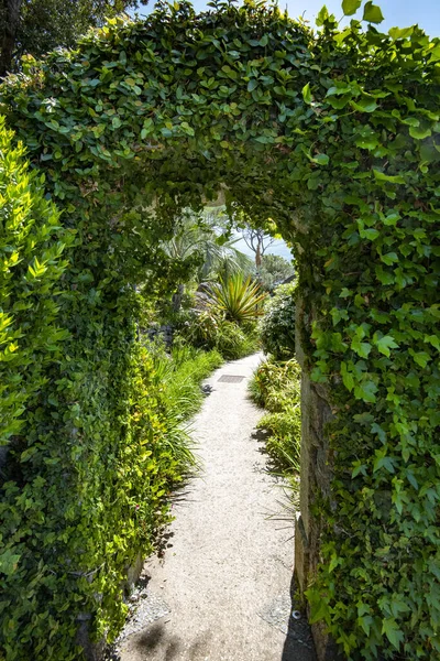 Isola d 'Ischia' daki La Mortella Bahçesi - İtalya