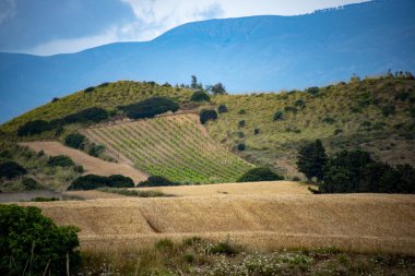Güney Sardunya 'daki Tarım Tarlaları - İtalya