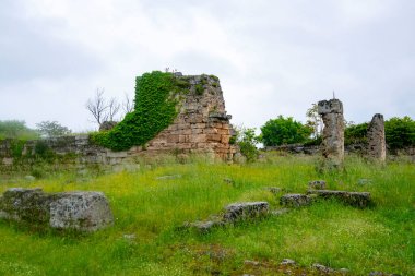 Paestum Arkeoloji Parkı - İtalya