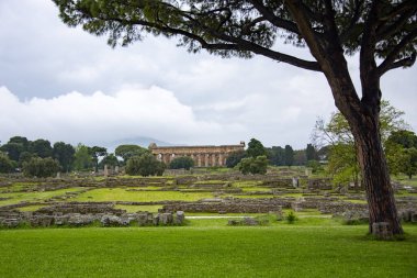 Paestum Arkeoloji Parkı - İtalya