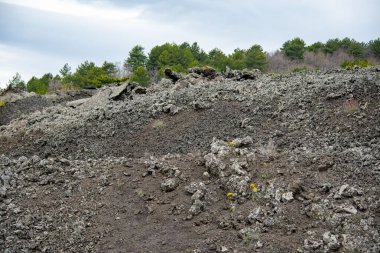 Etna Dağı Lav Tarlaları - İtalya