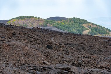 Etna Dağı Lav Tarlaları - İtalya