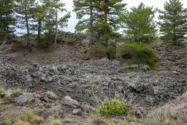 Etna Dağı Lav Tarlaları - İtalya