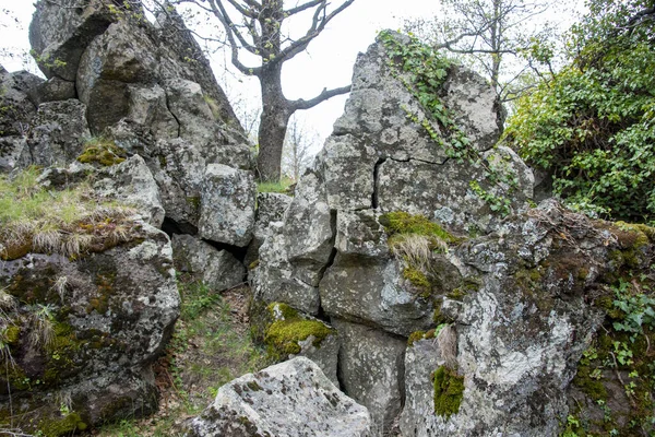 Etna Dağı Lav Tarlaları - İtalya