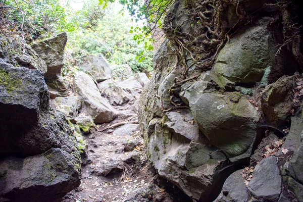 Etna Dağı Lav Tarlaları - İtalya