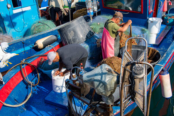 Fishing Vessels in the Port
