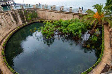 Ortigia 'da Arethusa Baharı - Sicilya - İtalya