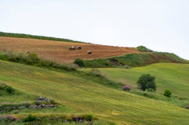 Ragusa 'daki Tarım Alanları - Sicilya - İtalya