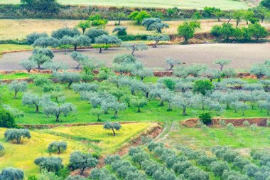 Ragusa 'daki Tarım Alanları - Sicilya - İtalya