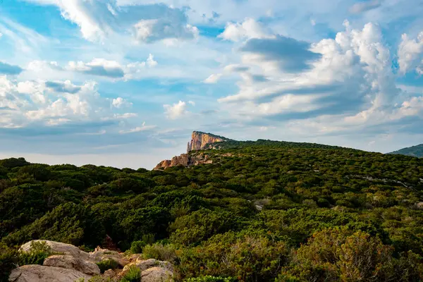 Porto Conte 'nin Doğal Parkı - Sardunya - İtalya