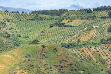 Trapani Bölgesindeki Tarım Alanları - Sicilya - İtalya