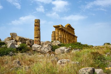 Selinunte Arkeoloji Parkındaki C Tapınağı - Sicilya - İtalya