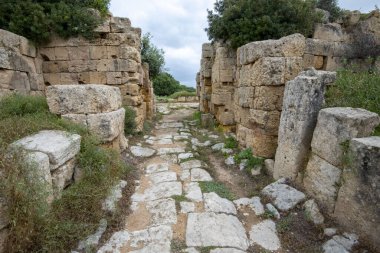 Selinunte Arkeoloji Parkı - Sicilya - İtalya