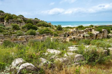 Selinunte Arkeoloji Parkı - Sicilya - İtalya