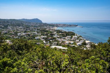 Isola d 'Ischia' daki La Mortella Bahçesi - İtalya