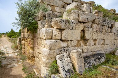 Selinunte Arkeoloji Parkı - Sicilya - İtalya