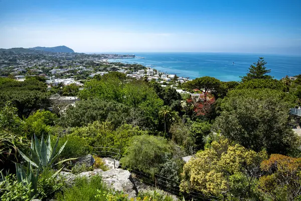 Isola d 'Ischia' daki La Mortella Bahçesi - İtalya