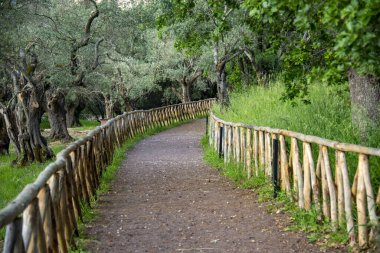 Hadrian Villa 'nın kalıntıları - İtalya