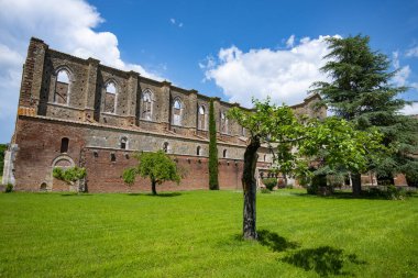 San Galgano Manastırı Harabeleri - İtalya