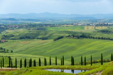 Toskana 'nın Rolling Hills' i - İtalya