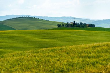 Toskana 'nın Rolling Hills' i - İtalya