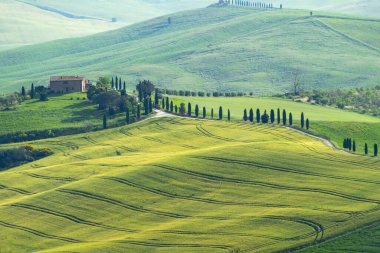 Toskana 'nın Rolling Hills' i - İtalya