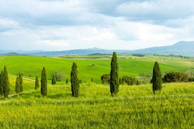 Toskana 'nın Rolling Hills' i - İtalya