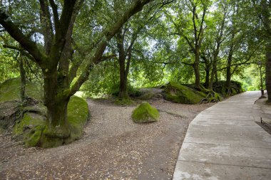 Sacro Bosco Parkı - İtalya