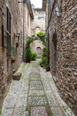 Cobblestone Yaya Geçidi Büyülü İtalya