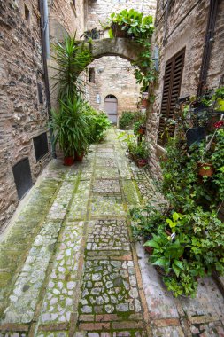 Cobblestone Yaya Geçidi Büyülü İtalya