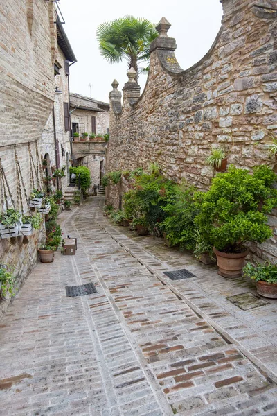 Cobblestone Yaya Geçidi Büyülü İtalya