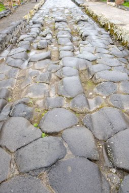 Rut 'lı Antik Cadde - Pompeii - İtalya