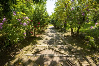 Farnese Bahçesi - Caprarola - İtalya
