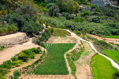 Dingli 'deki Tarım Alanları - Malta