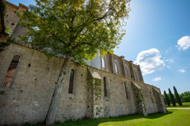 San Galgano Manastırı Harabeleri - İtalya