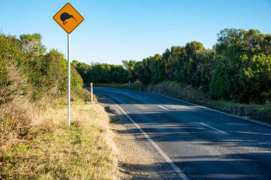Kiwi Yolu İşareti - Yeni Zelanda