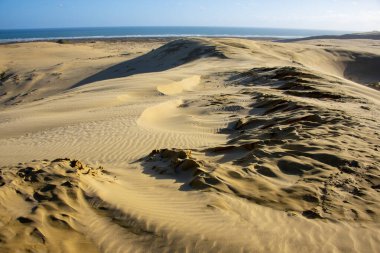 Cape Reinga 'daki dev kum tepeleri - Yeni Zelanda