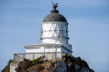 Nugget nokta feneri - Yeni Zelanda