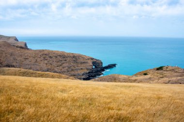 Akaroa Sahne Başı Rezervi - Yeni Zelanda