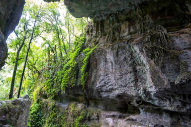 Mangapohue Doğal Köprüsü - Yeni Zelanda