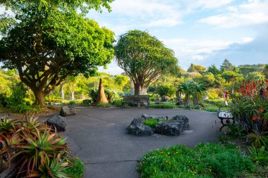 Auckland botanik bahçeleri - Yeni Zelanda